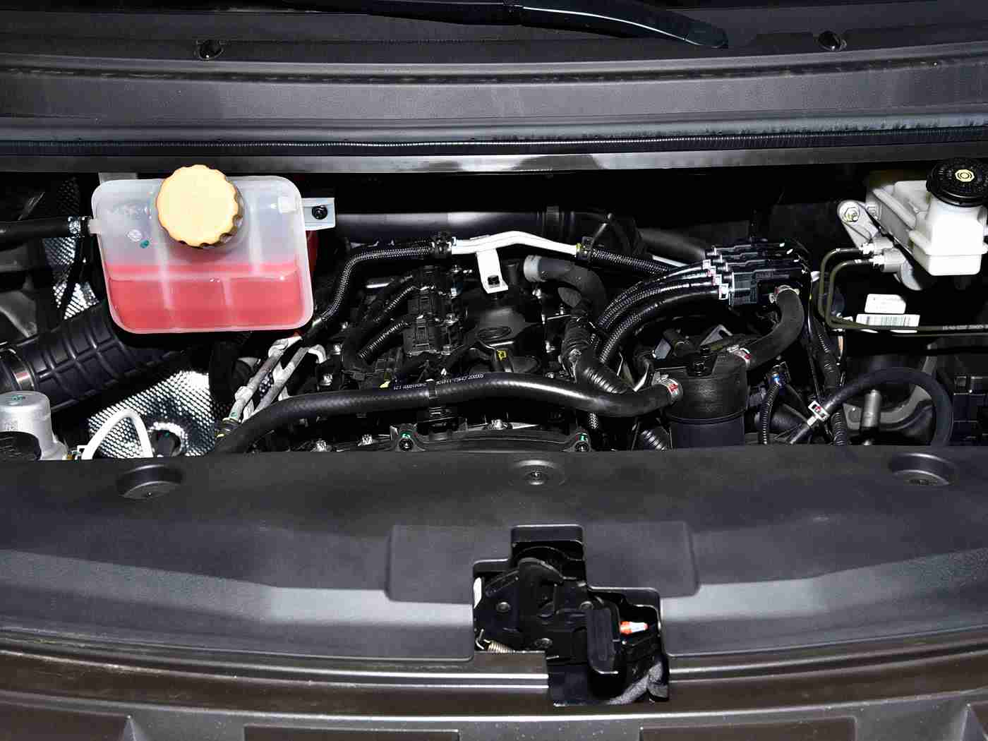 免费ps大片直播软件有哪些：直播潮流新宠，五大热门平台打造美颜直播盛宴-5