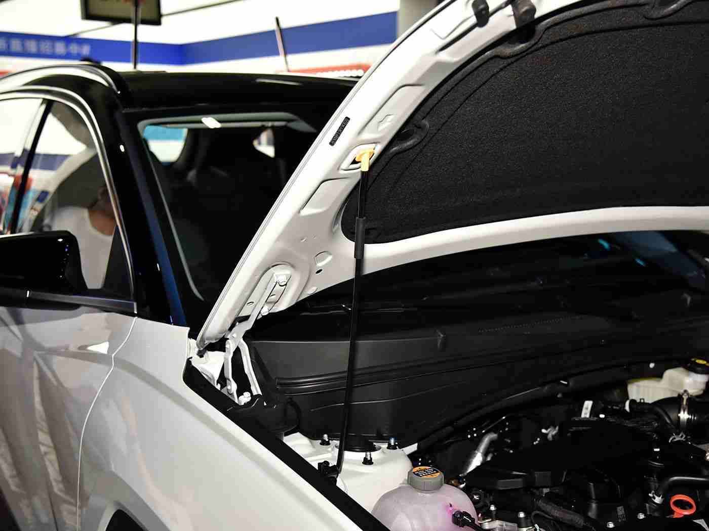 女人大白屁股：引领潮流，设计独特，性能卓越，“女人大白屁股”车型市场反响热烈，成焦点-4