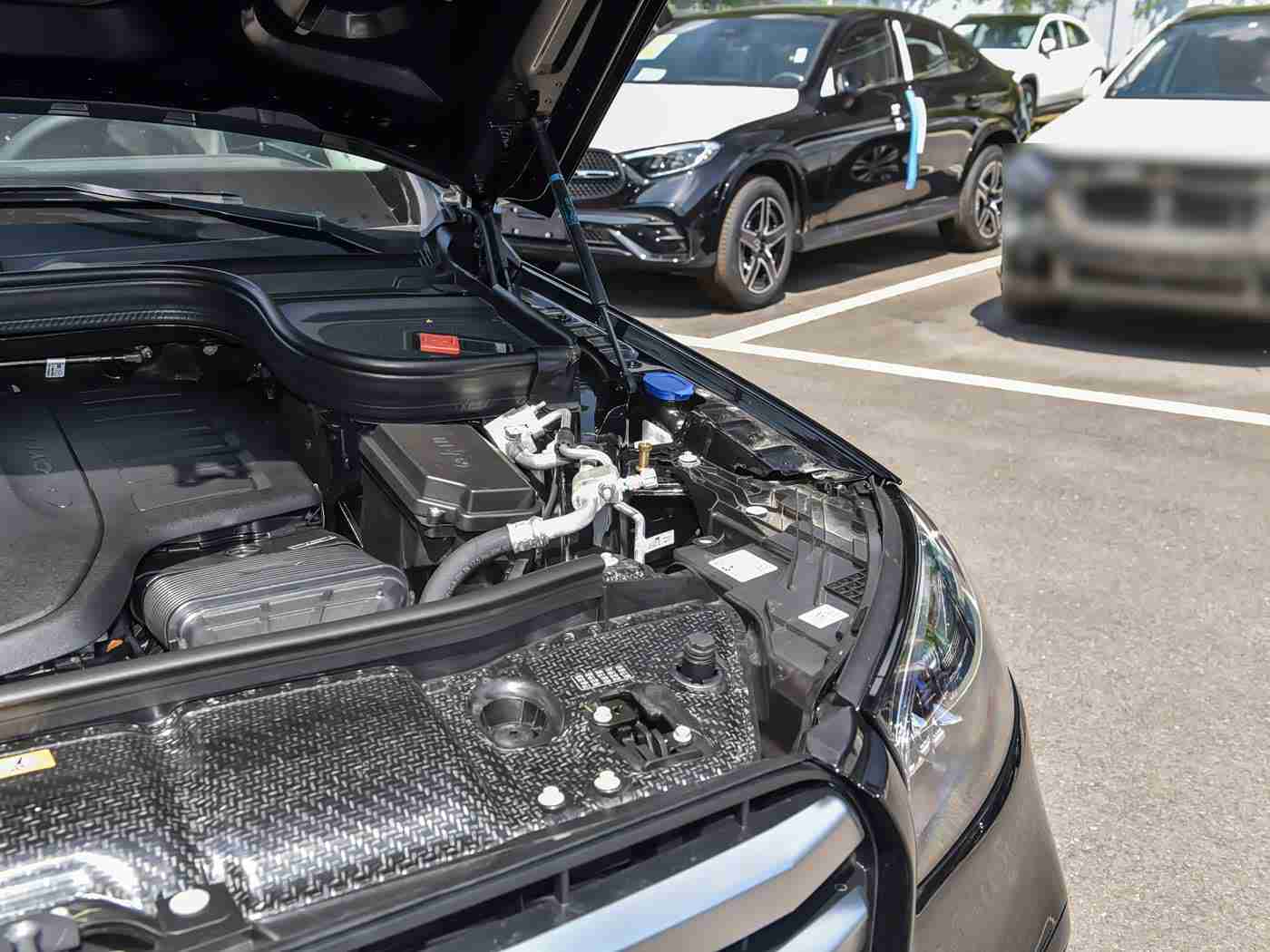 男女差差差：性别解码，车界新风尚-5