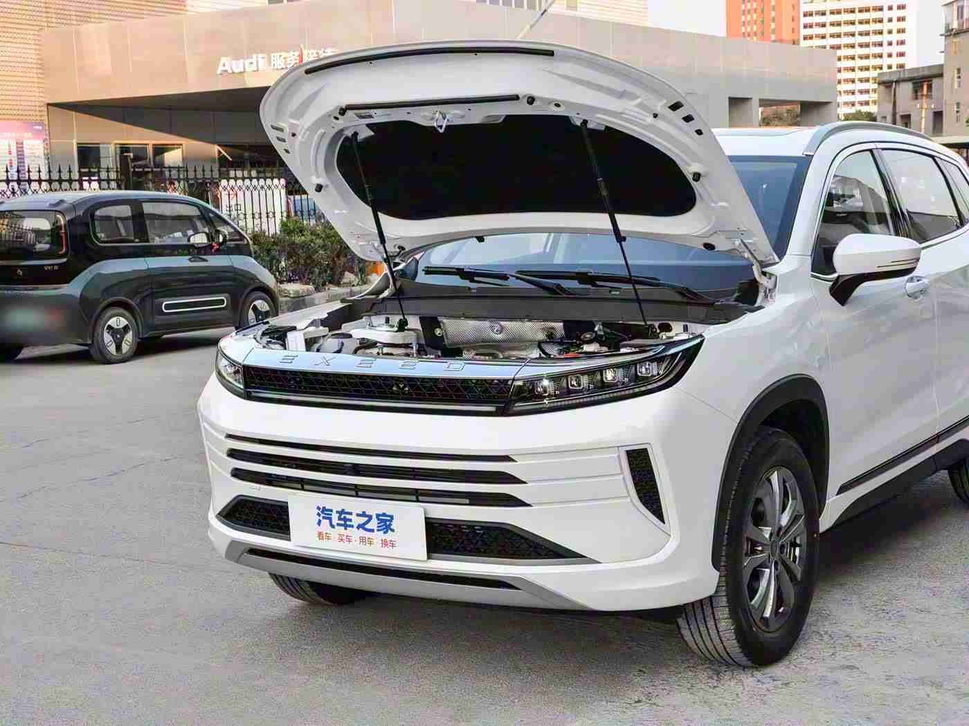 帅哥爱上小鲜肉：“青春动力成年轻消费者新宠，独特设计引热议，销量攀升彰显活力”-2