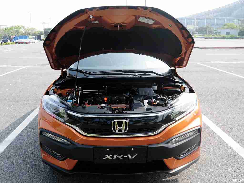 校花自慰：时尚校花，驾驭新潮流-1