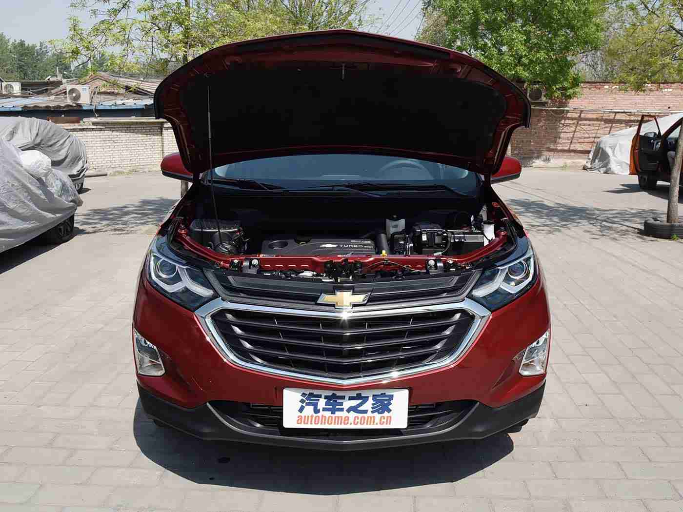 男女日逼软件-5