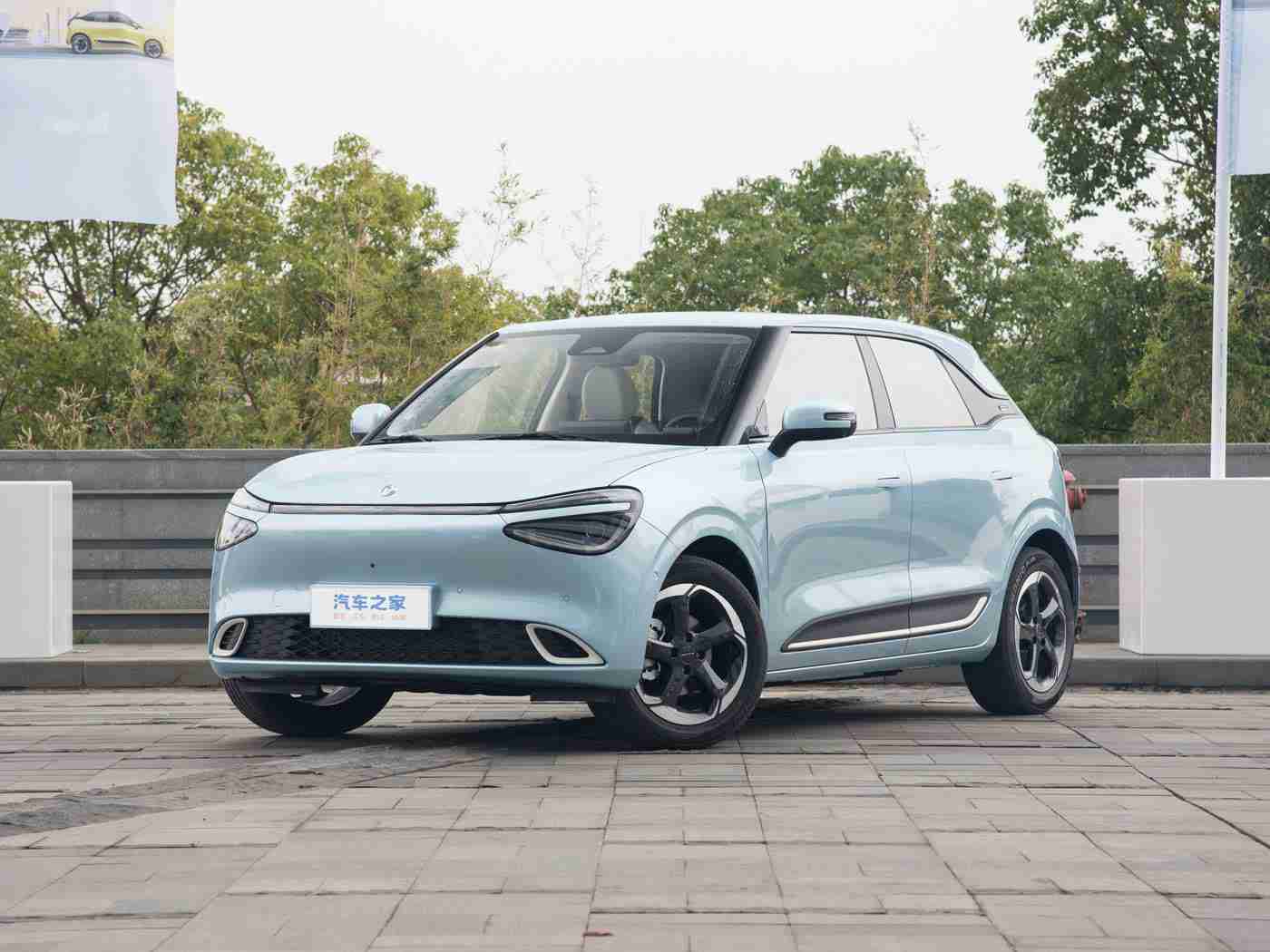 打扑克又叫又痛-1