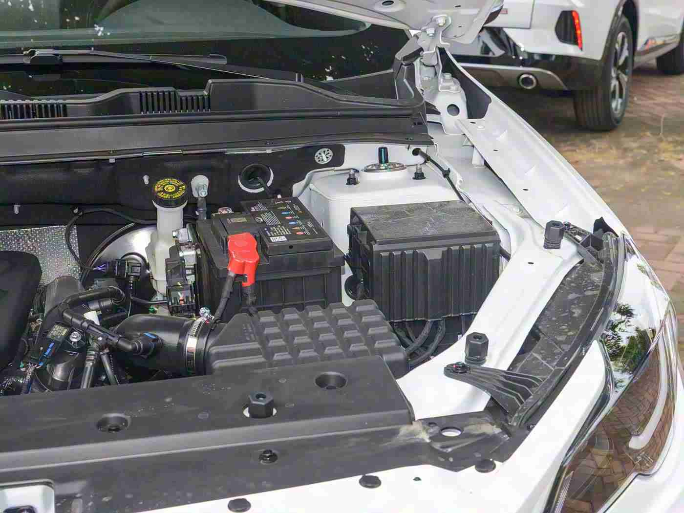 搞黄APP:汽车资讯一网打尽,"搞黄APP"引领互动新体验,助力行业发展-1