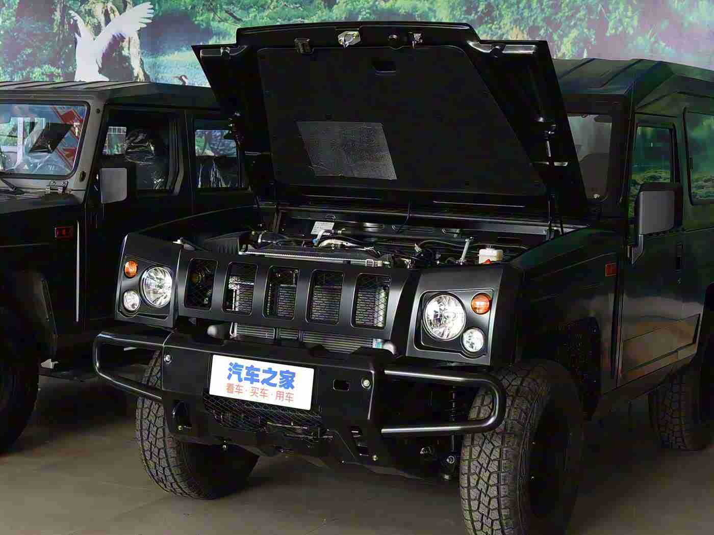 亲女让我进去了：高效动力，智能科技，亲民价格——全新车型上市，引领汽车市场新潮流-2