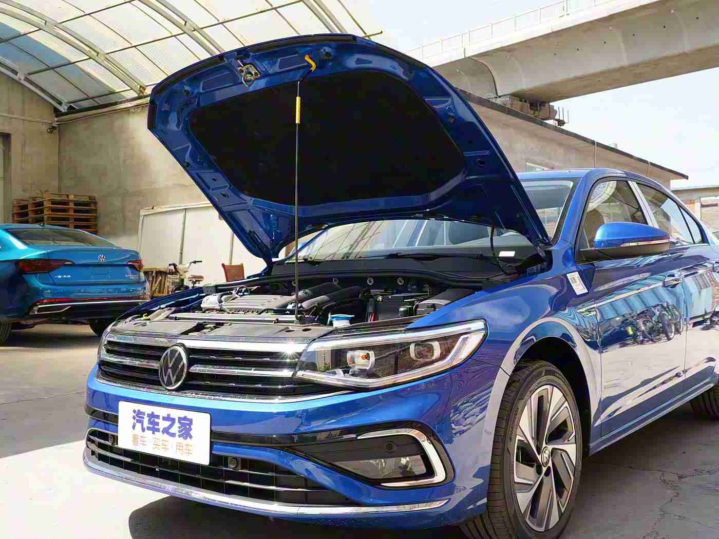 帅哥爱上小鲜肉：“青春动力成年轻消费者新宠，独特设计引热议，销量攀升彰显活力”-1