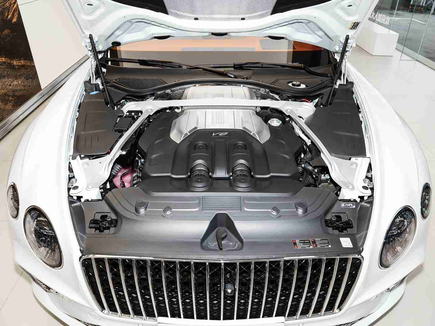 爱情岛论坛自拍：智能化环保新宠：时尚外观与亲民价格，全新车型引市场热议-2