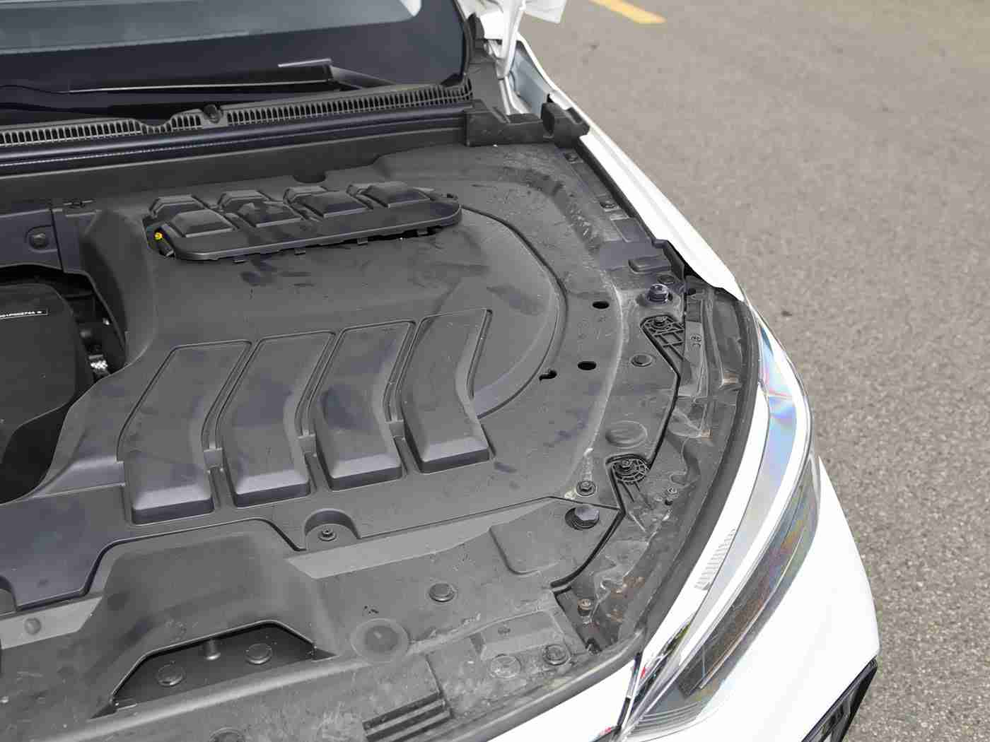 黄色软件下载免费OPPO：OPPO新软件受热捧：海量内容一键下载，畅享智能生活新体验-1