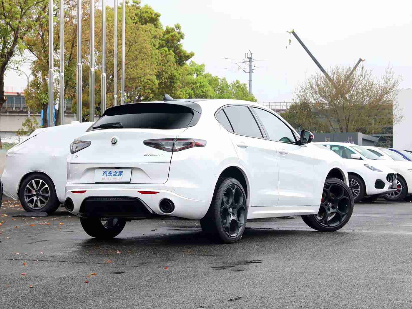 女人和公豬交全套：“全新车型惊艳亮相：创新内饰设计，人性关怀与卓越性能并存，引领汽车市场新潮流”-1