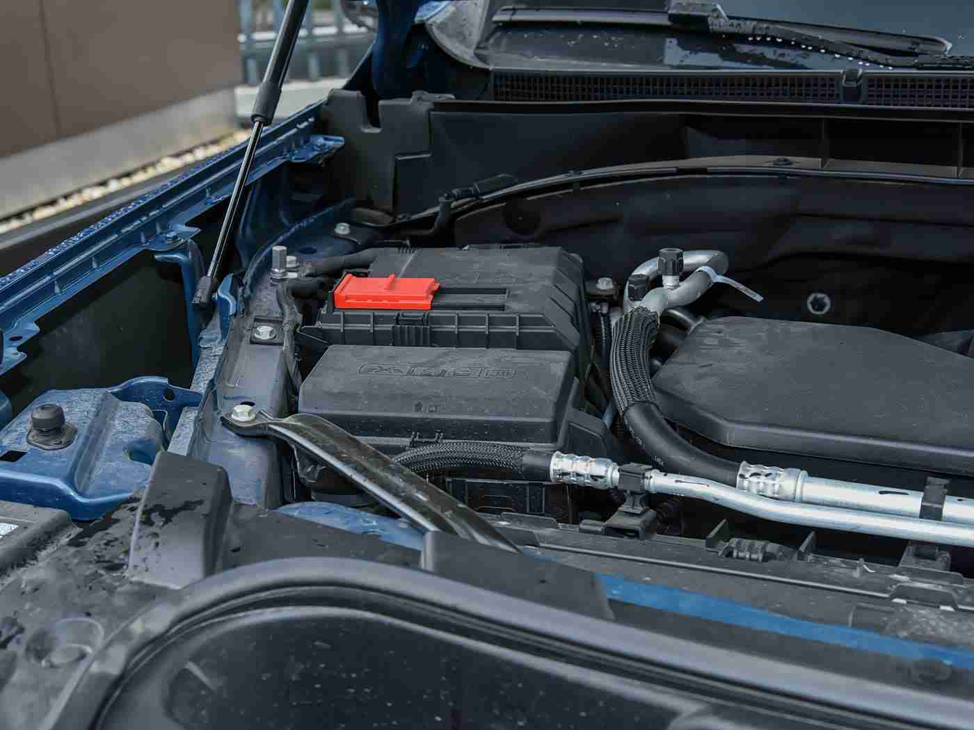 亚洲毛茸茸：童话触感，驾驭未来，环保尊享座驾-2