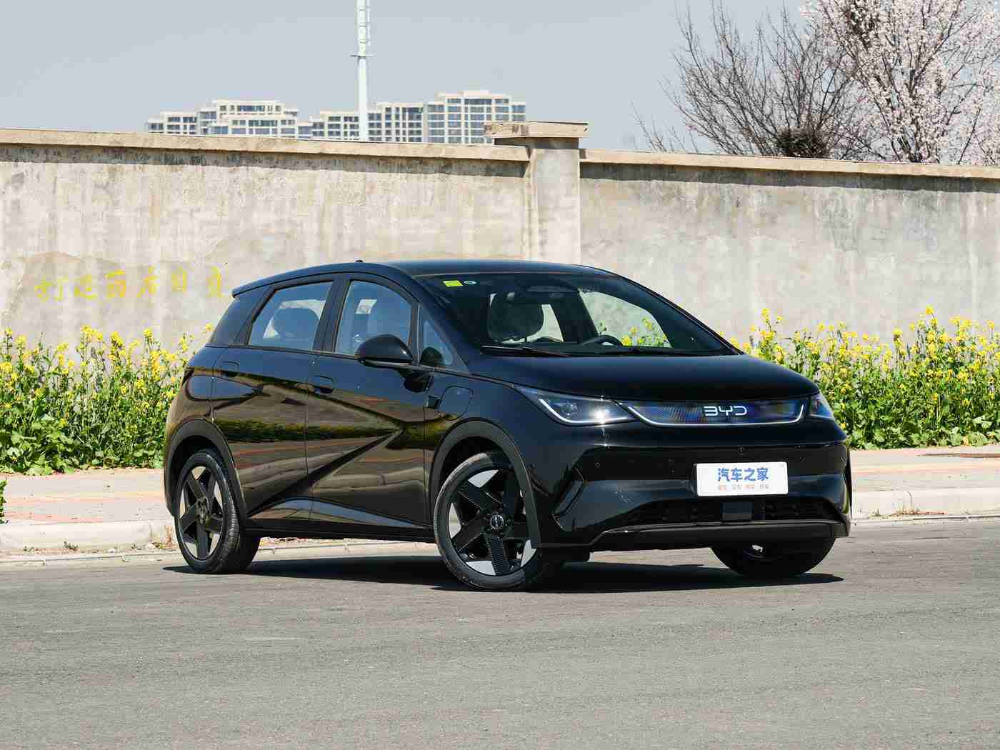 18岁禁看软件：科技赋能汽车售后，＂18岁禁看软件＂助力行业新机遇，开启个性化服务时代-2