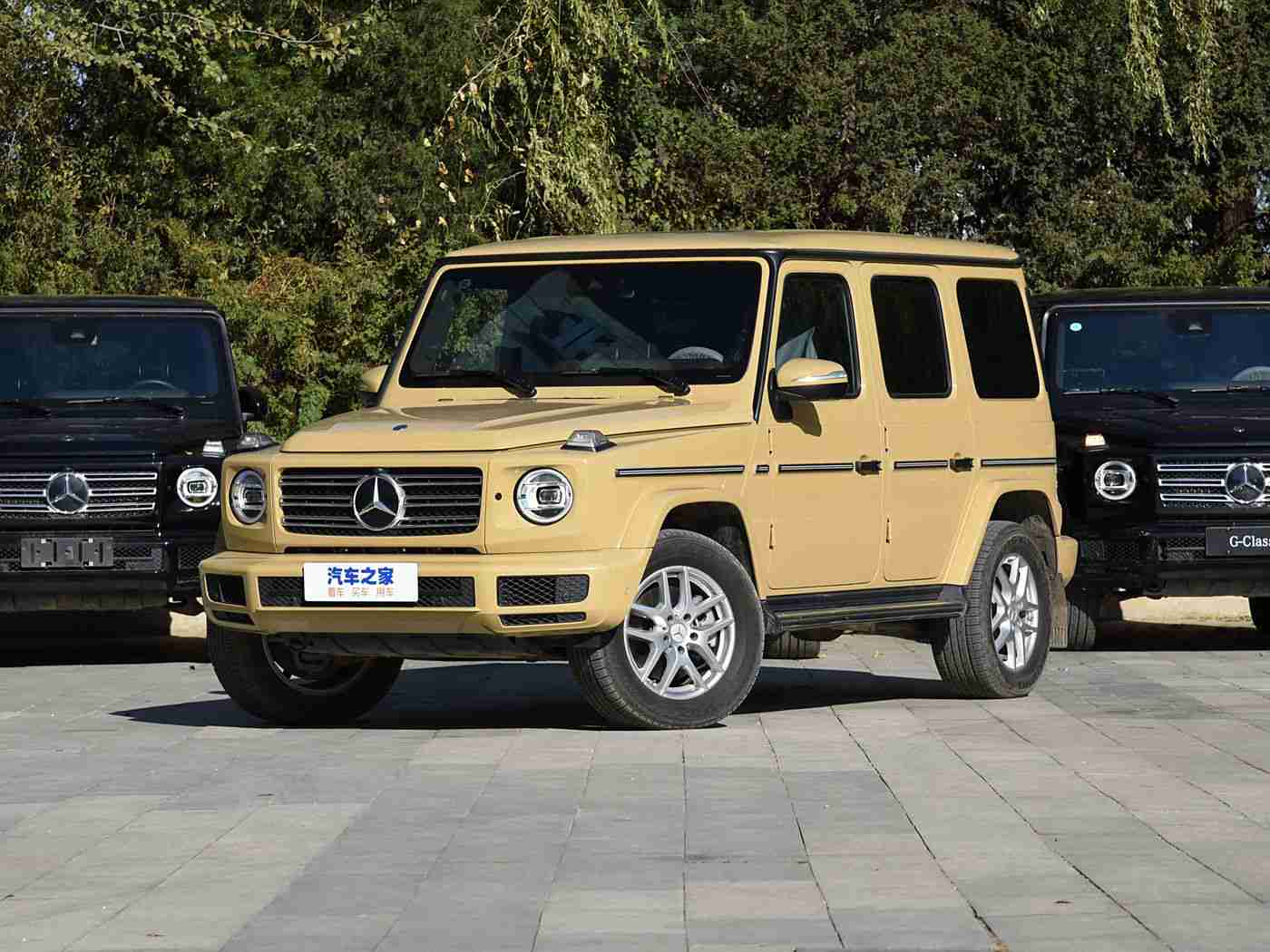 蝌蚪窝一个可以释放的网站：新能源汽车爆发式增长，技术创新助力车企抢占市场，政策支持下的行业新篇章-2