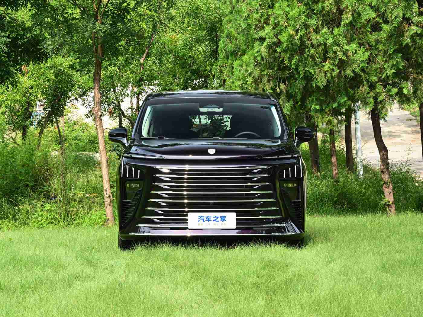 狼人综合网：新能源汽车市场风起云涌，特斯拉、蔚来、小鹏等品牌领跑，揭秘行业动态与消费者购车指南-1