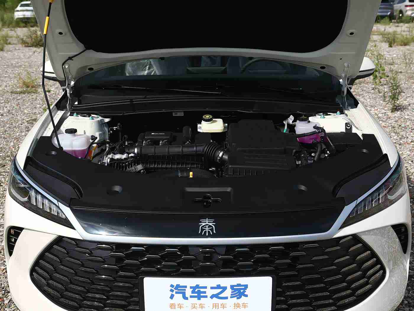 成人Av影视：时尚科技新宠，驾驭未来出行先锋-2