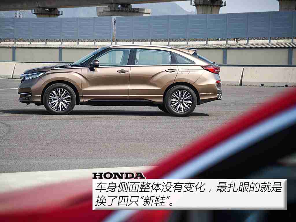 暴躁大妈2农场女儿角色剧情介绍森林：森林探险奇遇记，农场女儿勇闯SUV新篇章-2