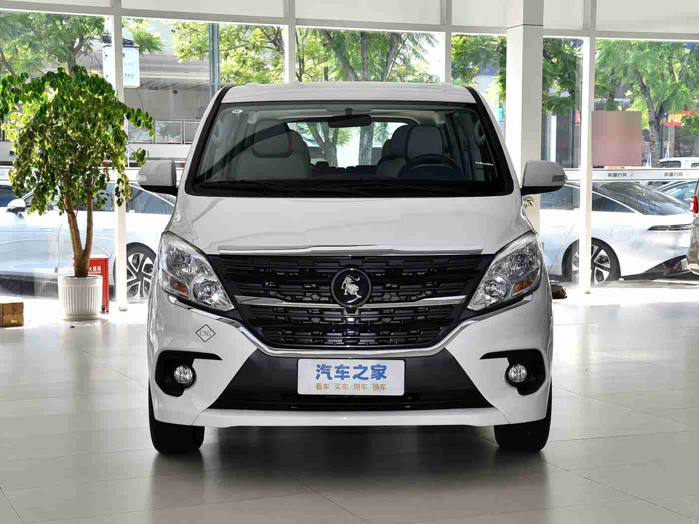 色多多成人：时尚动力，智享安全，新锐座驾，尽在掌握-4