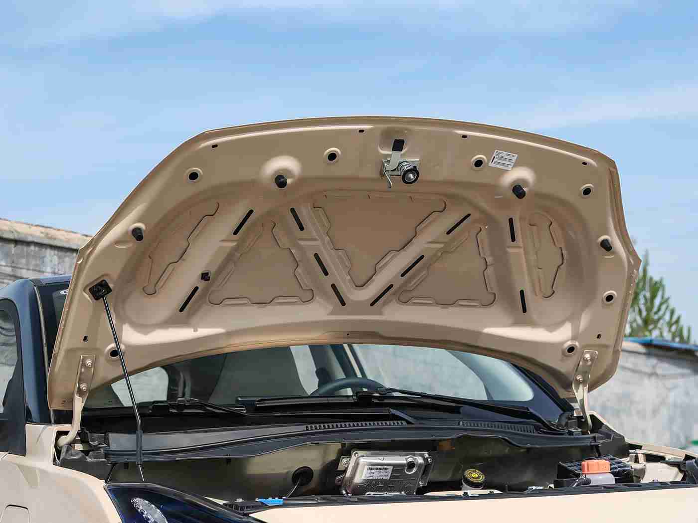 男人挺进雌性宠物交：宠物相伴，驾驶新风尚，智能环保领航者-1