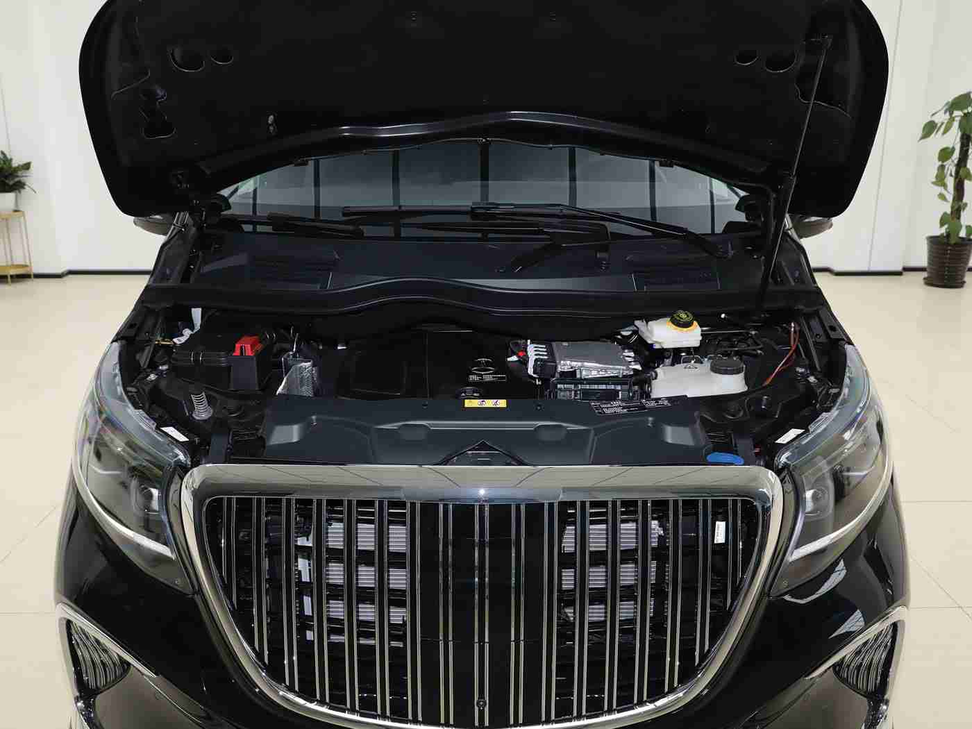 一卡二卡三卡:智行三界,绿动未来新纪元-3