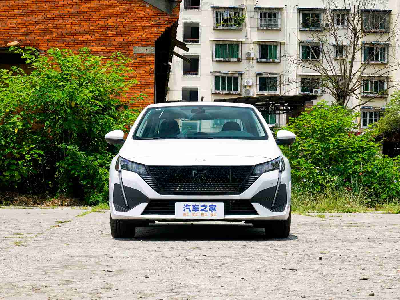 亚洲综合干：亚洲汽车市场崛起，特斯拉、大众、丰田等品牌争相布局，未来竞争格局将如何演变？-5