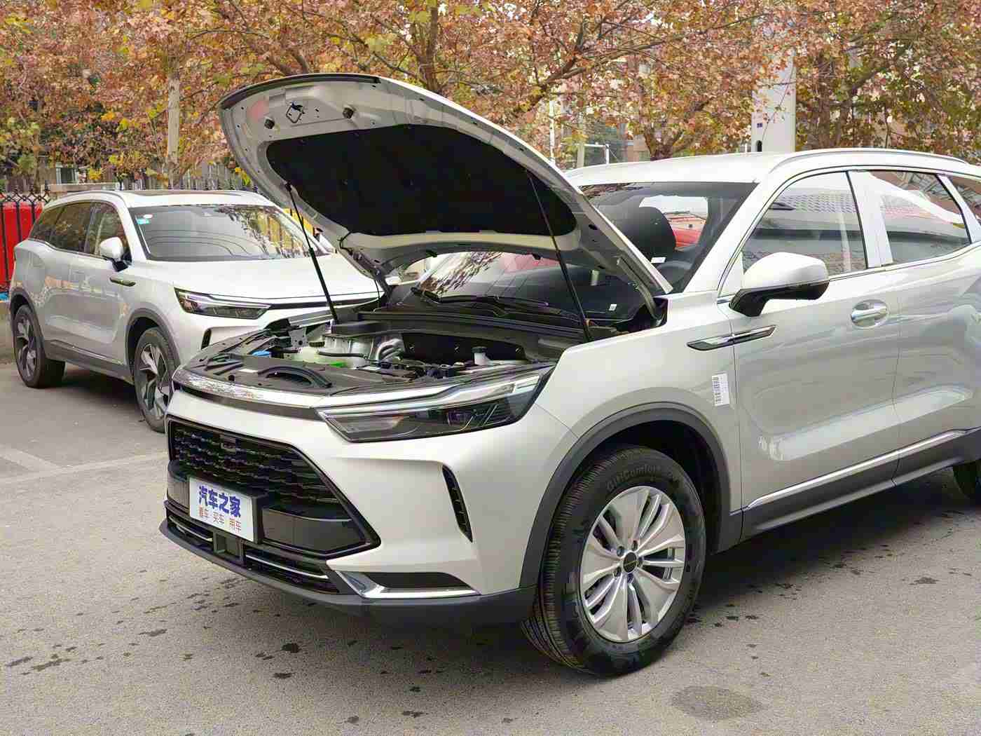 黄三色和绿三色的区别图片：色彩演绎，活力绿与阳光黄，汽车时尚新篇章-2