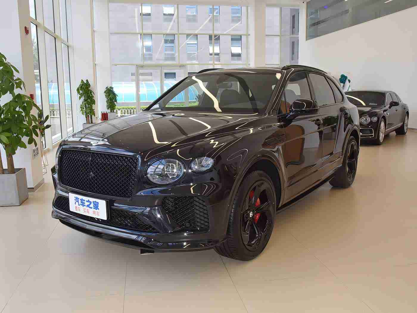 天天操夜：“混合动力科技驱动，智能舒适新体验：新车上市引关注，畅享非凡驾驶乐趣”-3