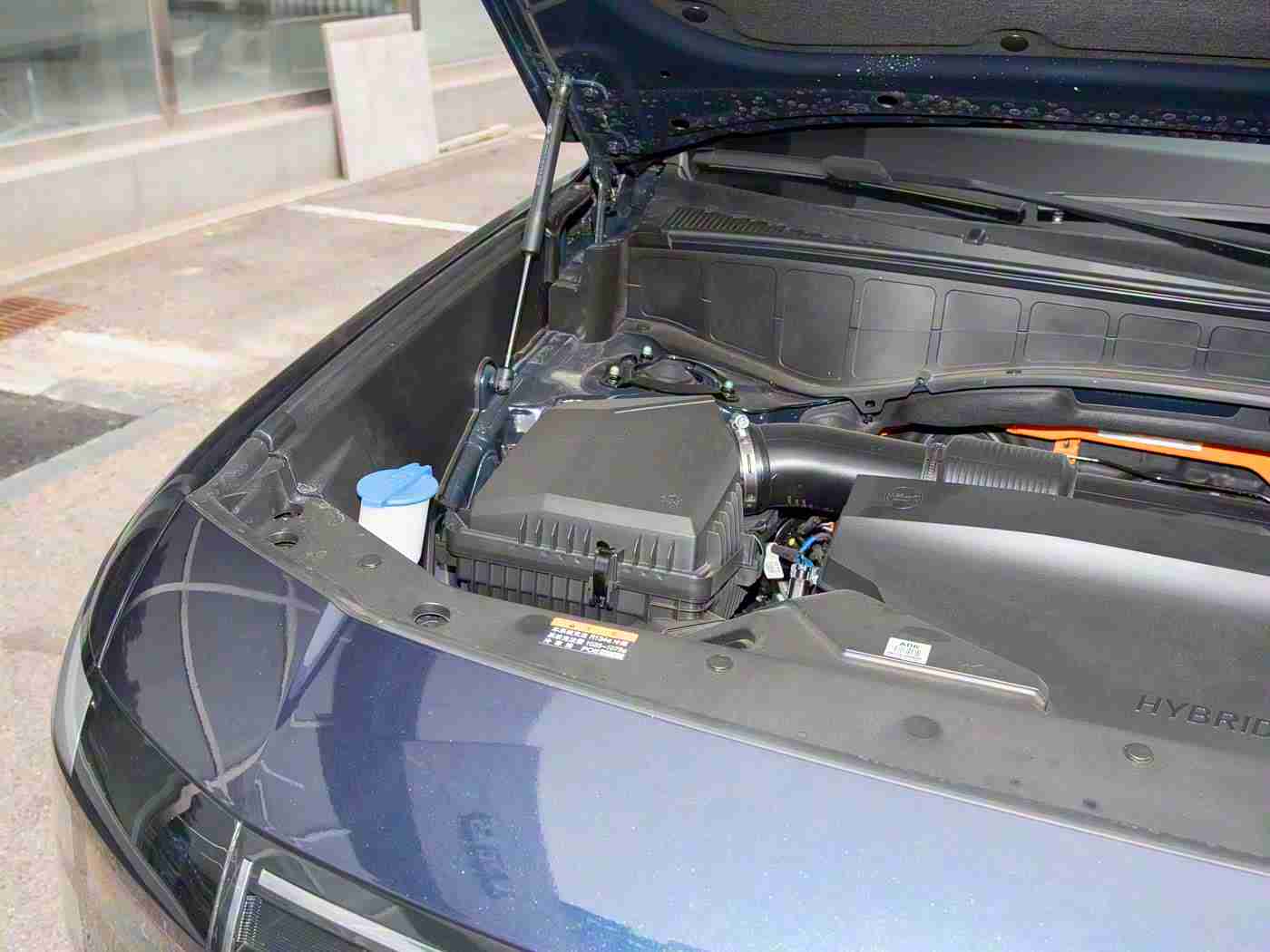 嫩叶草隐藏路线:智能导航导航,轻松解锁城市“隐秘航线”-2