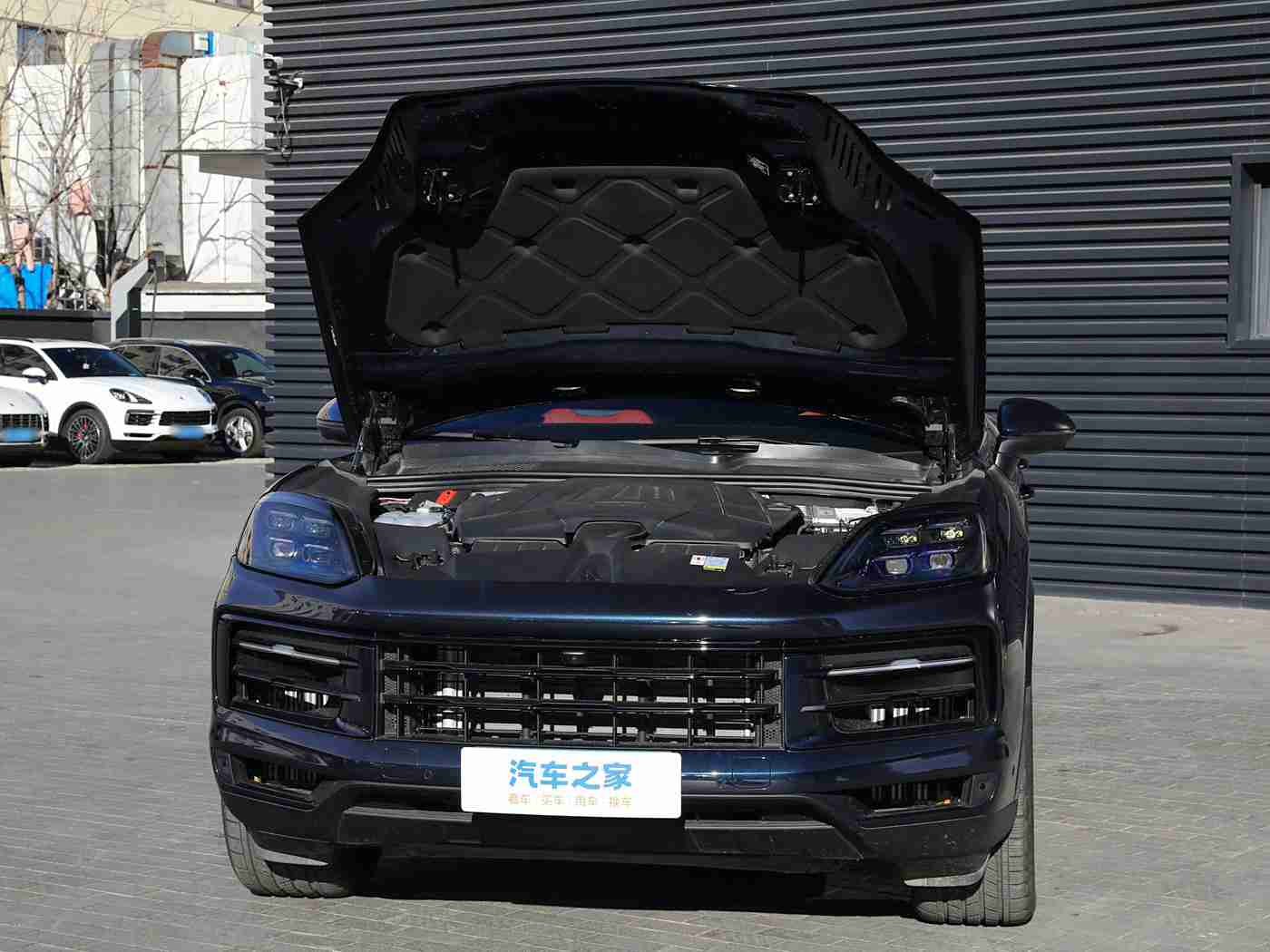 黄色软件下载大全oppo：OPPO手机用户福利：独家软件平台助力便捷下载，优化手机使用体验-3