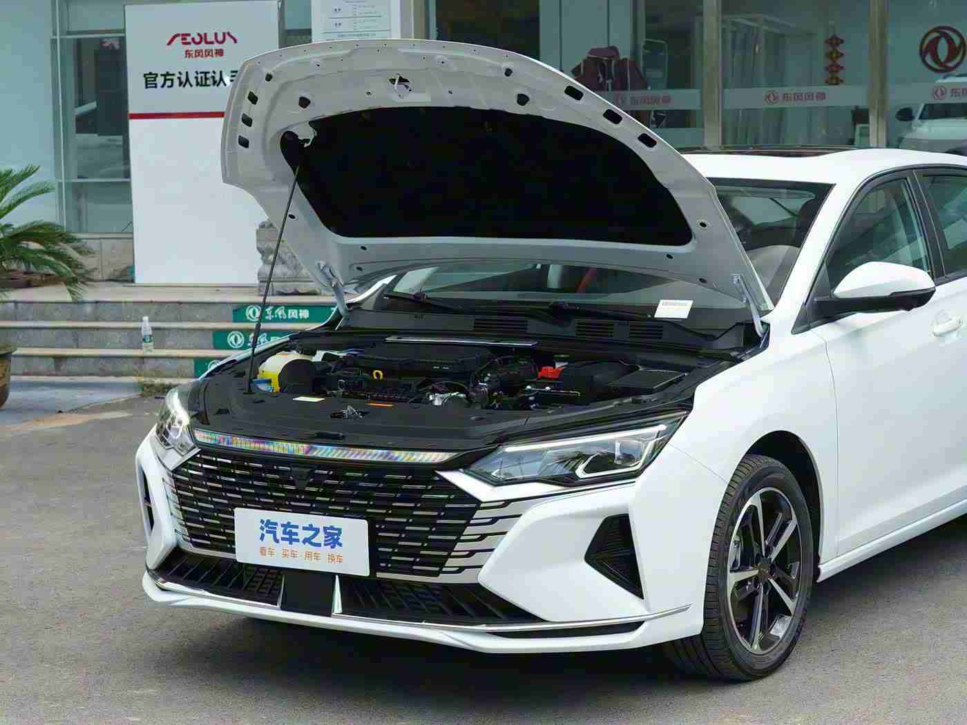 男生和女生一起差差差的软件下载：智能导航娱乐双管齐下，创新驾驶新体验-3