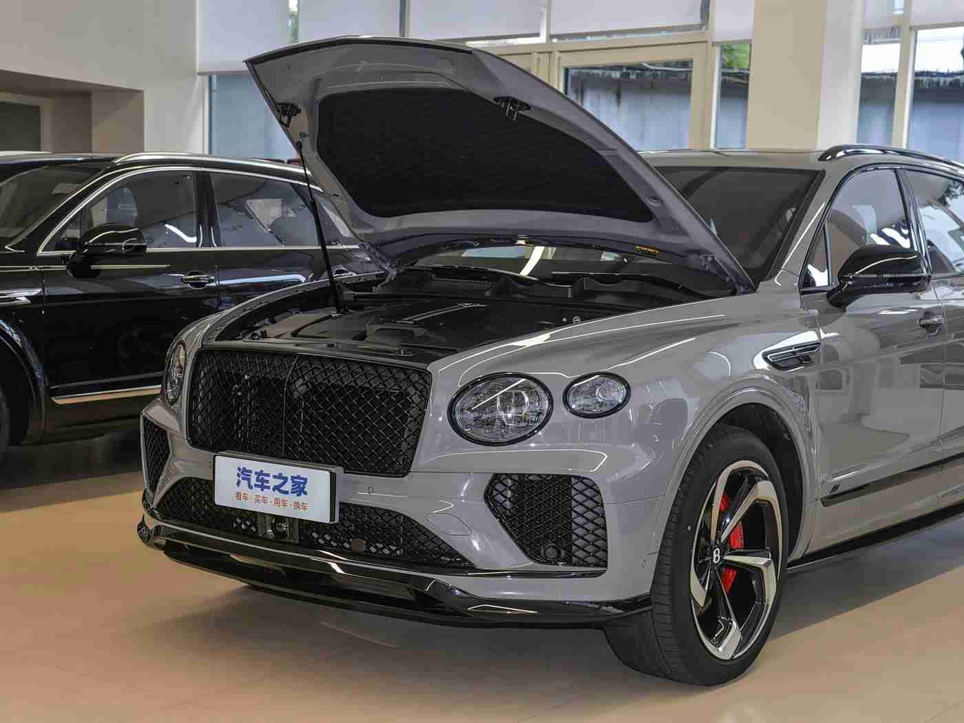 成人富二代：豪华品牌新贵，个性时尚驾驭新潮流-1