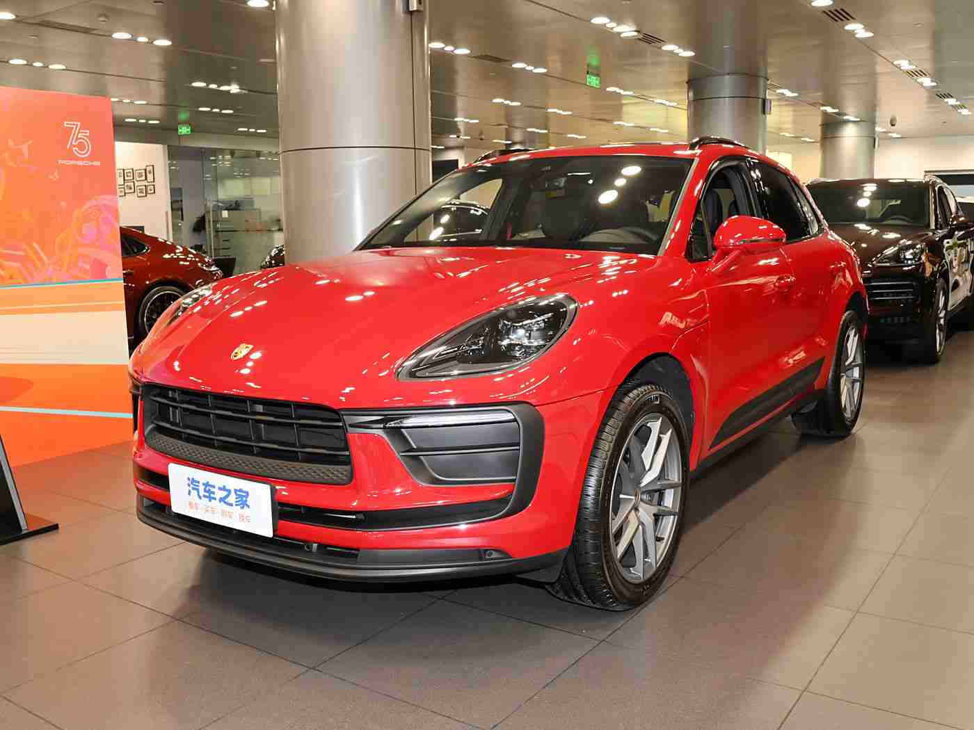 打扑克差差差：破咒动力新篇，驾驭卓越新境-3