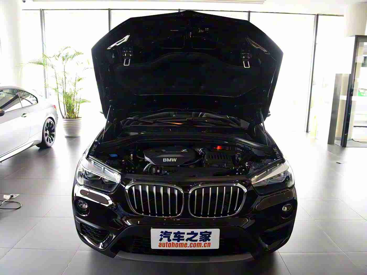 美女脱衣服软件：智能驾驶新风尚，车载娱乐乐趣无限-3