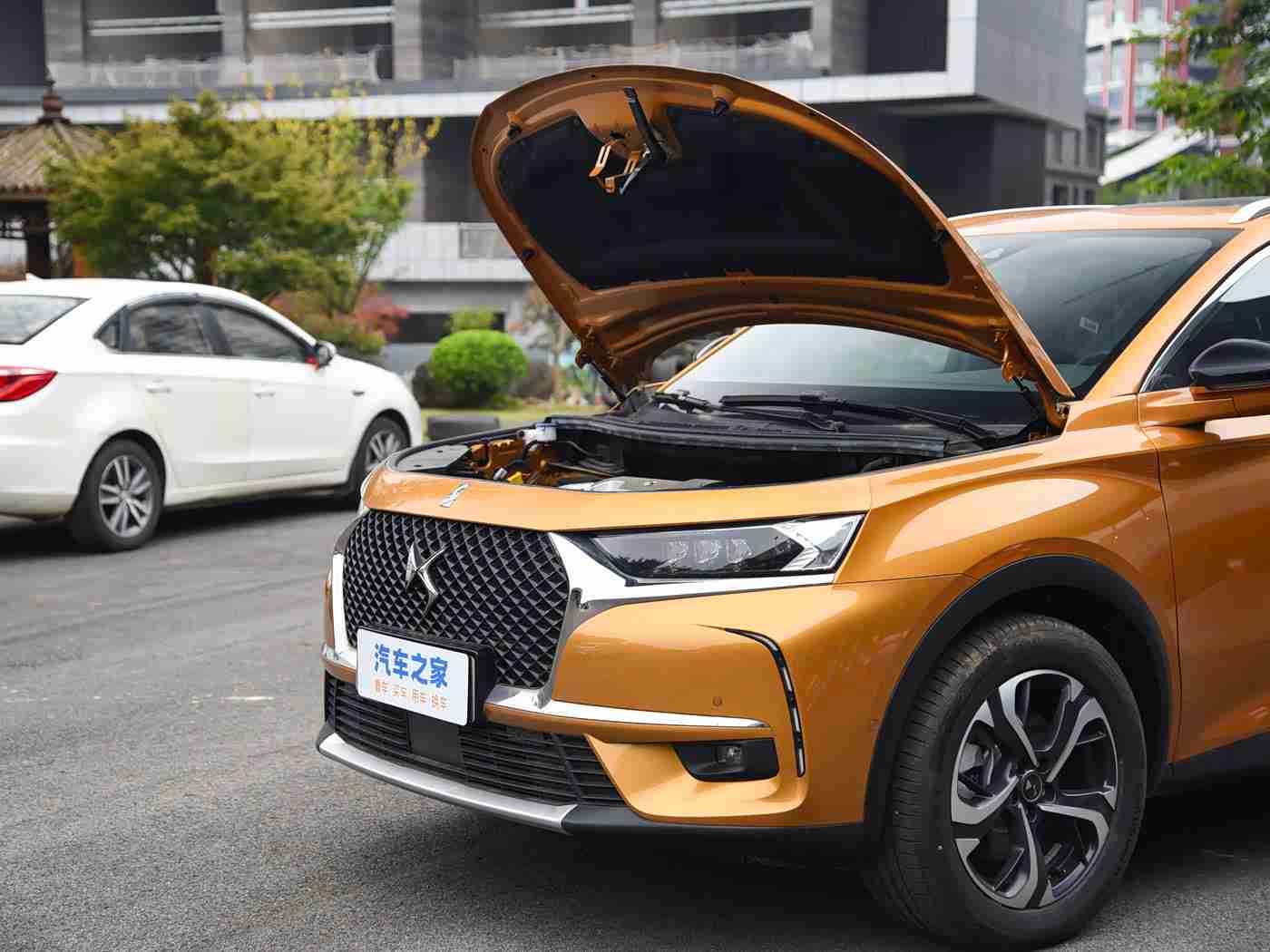 一级毛卡片：绿色先锋，时尚续航，引领未来出行潮流-4