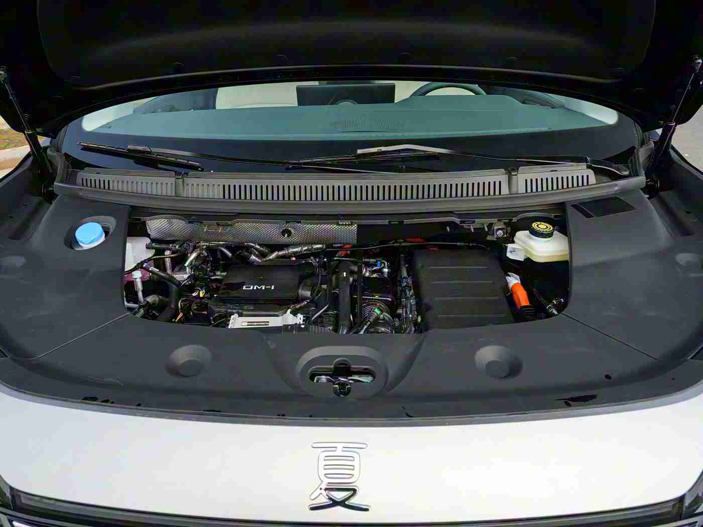 黄色软件APPOPPO：汽车资讯新风尚，APPOPPO领航未来潮流-3