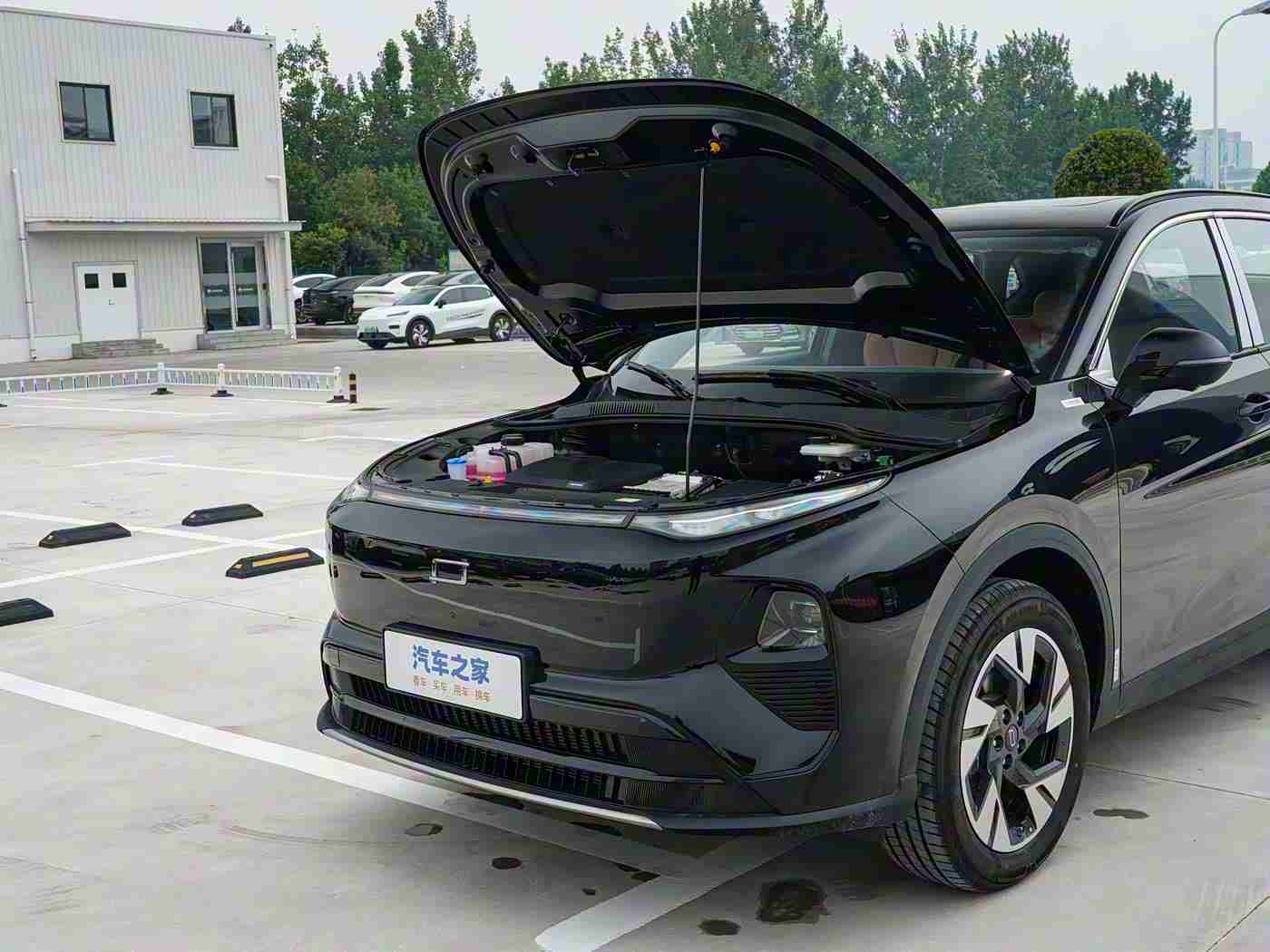 黄色破解版：“创新科技引领未来，环保节能新宠来袭：揭秘全新汽车市场焦点”-2