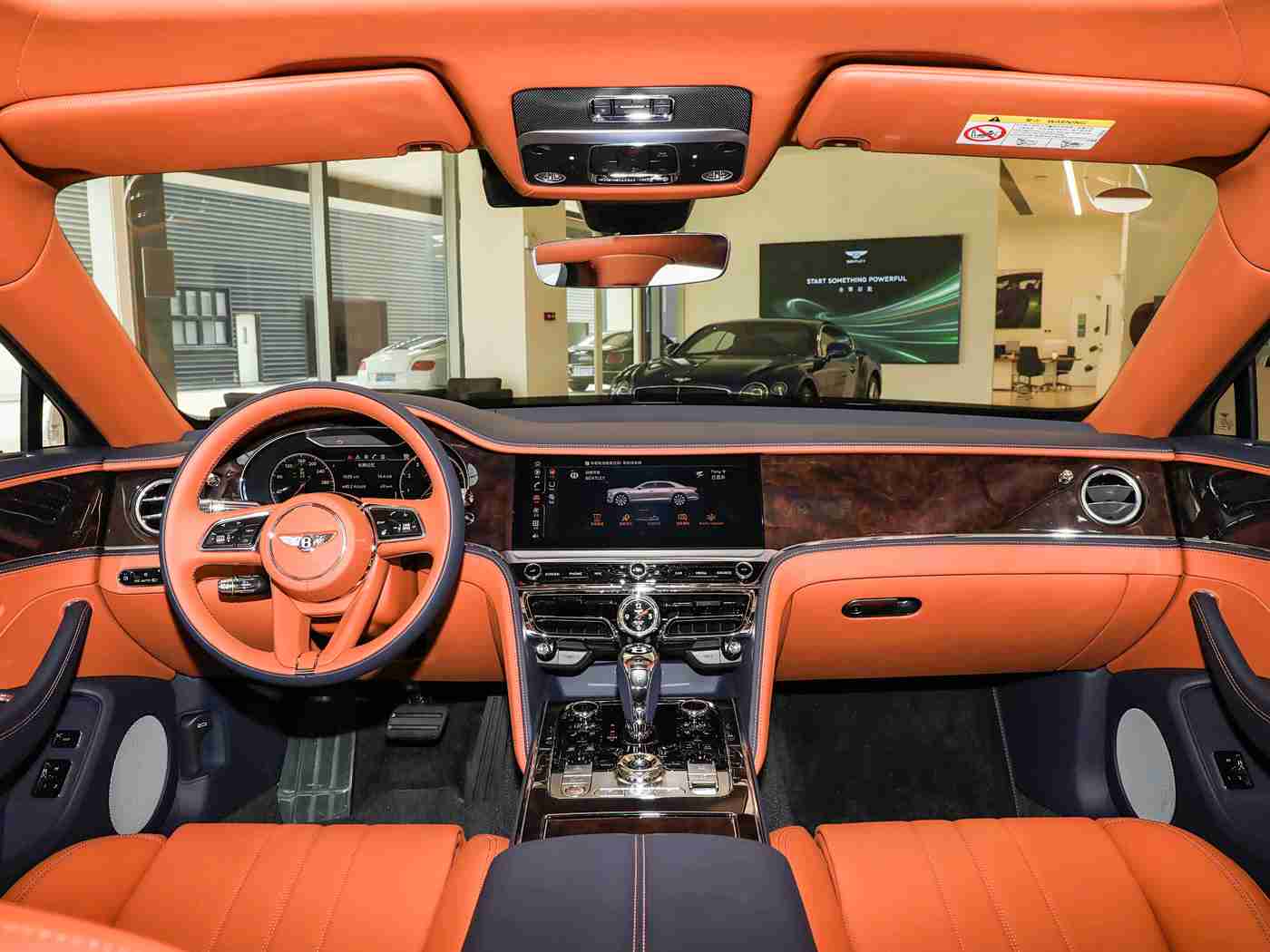 男人挺进雌性宠物交：宠物相伴，驾驶新风尚，智能环保领航者-3