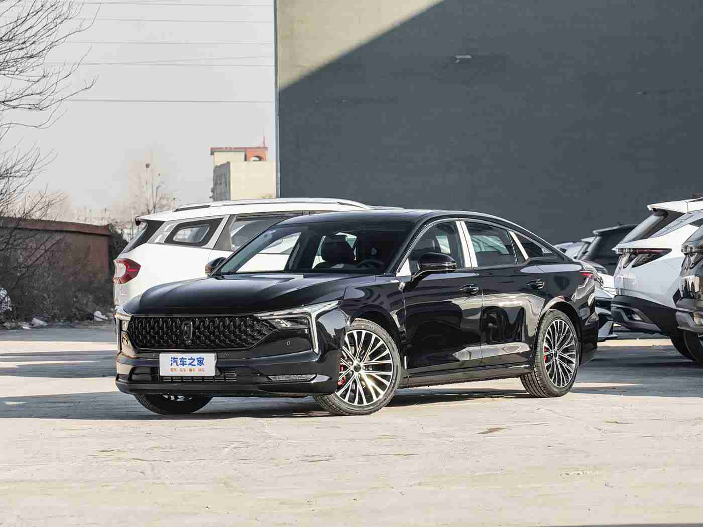 打扑克差差差：破咒动力新篇，驾驭卓越新境-2