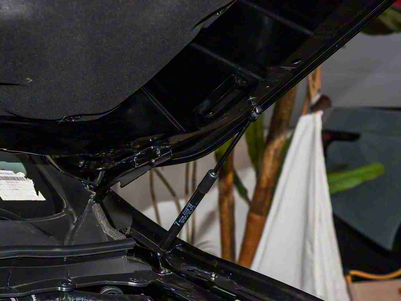 爱情岛  论坛成人AV：浪漫交融科技，驾驭温馨成人岛-1