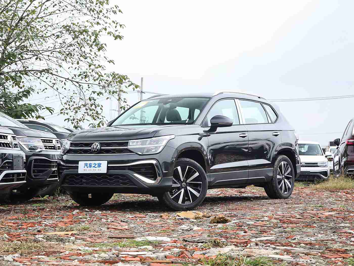 黄色软件大全OPPO：OPPO手机软件新宠：海量精选，轻松驾驭，用户好评如潮-4