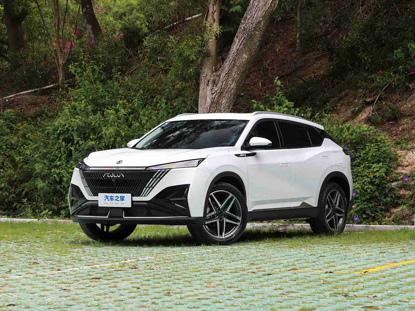 奴役 支配 极端 捆绑:新能源解束缚,智能出行领航者-1