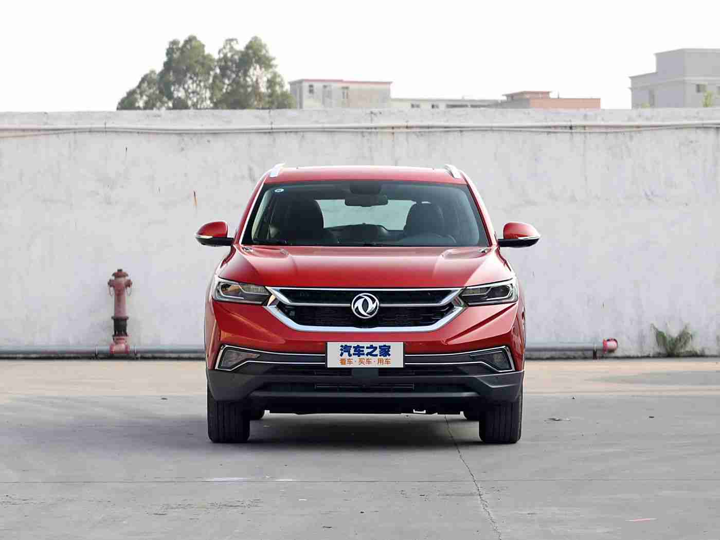 粉色苏州晶体：古典园林映粉晶，时尚动力领风骚-2