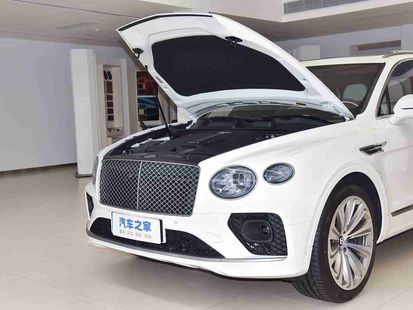 最好看的2019年的中文：“2019年度最受欢迎中文汽车：创新设计、卓越性能、品质保证，引领潮流风采无限”-4