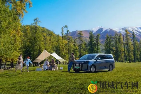 老师你的兔子：课堂上那可爱的白兔-3