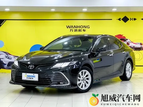 99er这里只有精品:汽车市场新风向:精品车型平台崛起-2