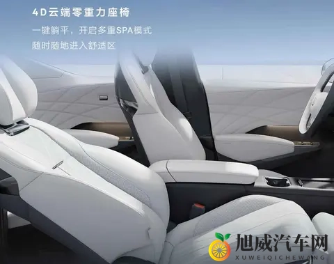 国产成人a片：新势力崛起，国产汽车品质创新两开花-1