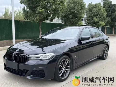 GOGOGO大但拜开艺术风格：汽车设计新潮流：探索未来豪华与环保的艺术融合-2