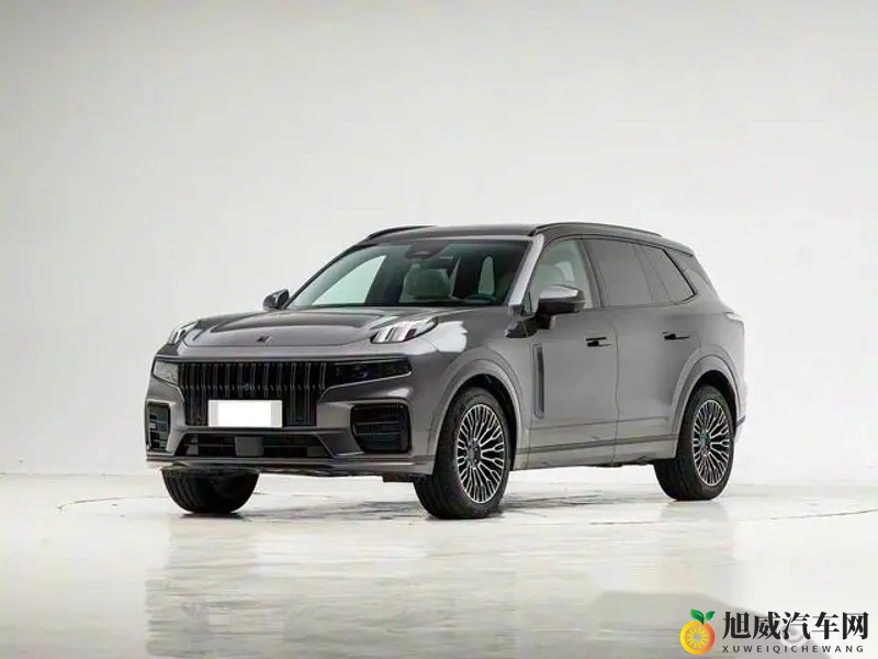 动森埃及猫：《动森宠物乐园里的神秘埃及猫》-1