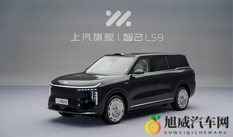 猜一波,智己LS9价格-1