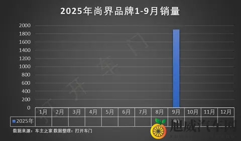 海马汽车：公司在氢能汽车领域已取得阶段性进展-1