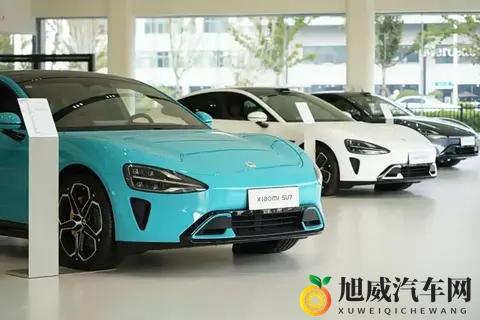 毛利率之争白热化：谁将赢得未来市场的入场券？​-3