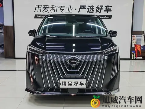 准新一手传祺M8：2024款20T，18万公里，宜商宜家-1